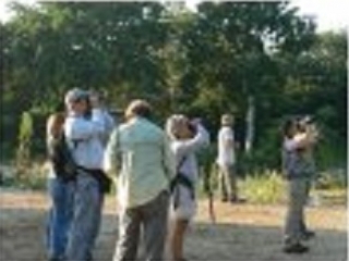 Avistamiento de aves